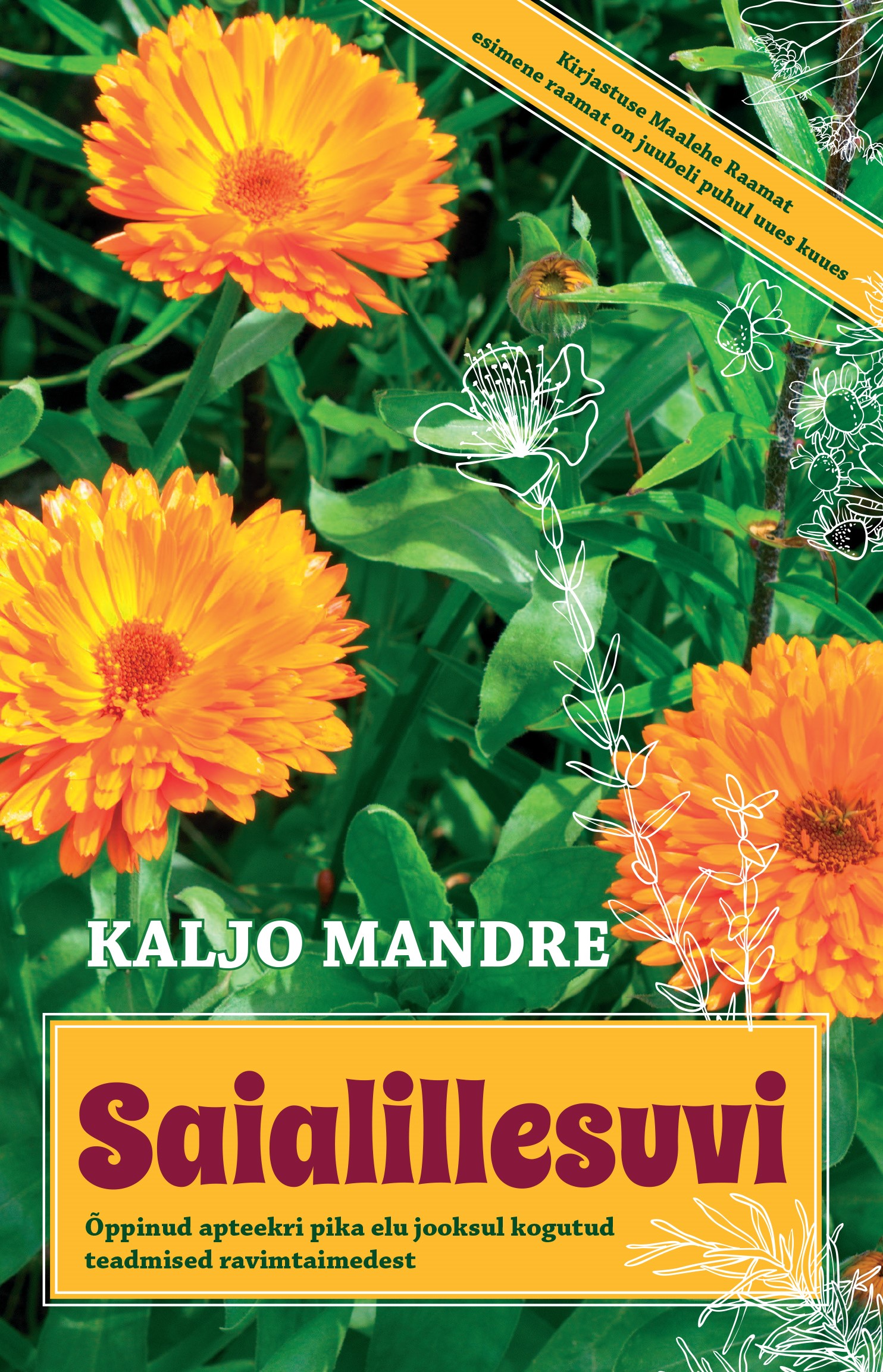 publikatsioonid_ja_meedia